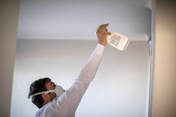 Mold Testing and Removal in Leola, PA