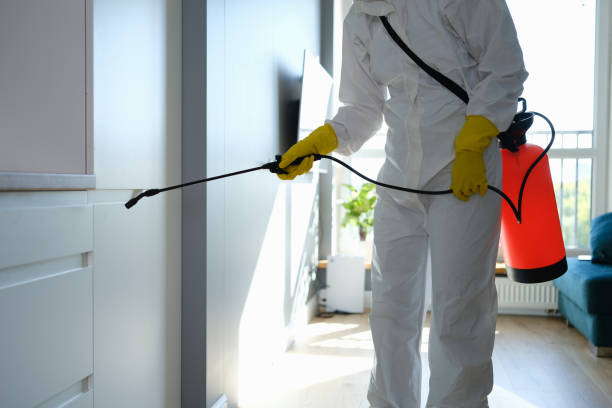Best Residential Mold Removal  in Leola, PA